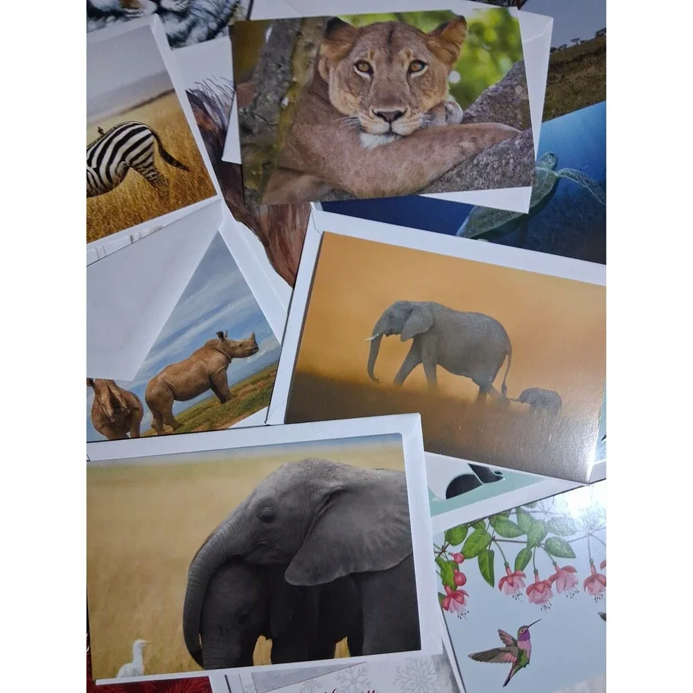 Vintage greeting cards/envelopes National geographic, world wild life, 26 pieces